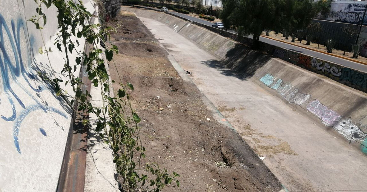 Conagua niega permiso a León para plantación de árboles en Malecón del Río por “tema de seguridad”  