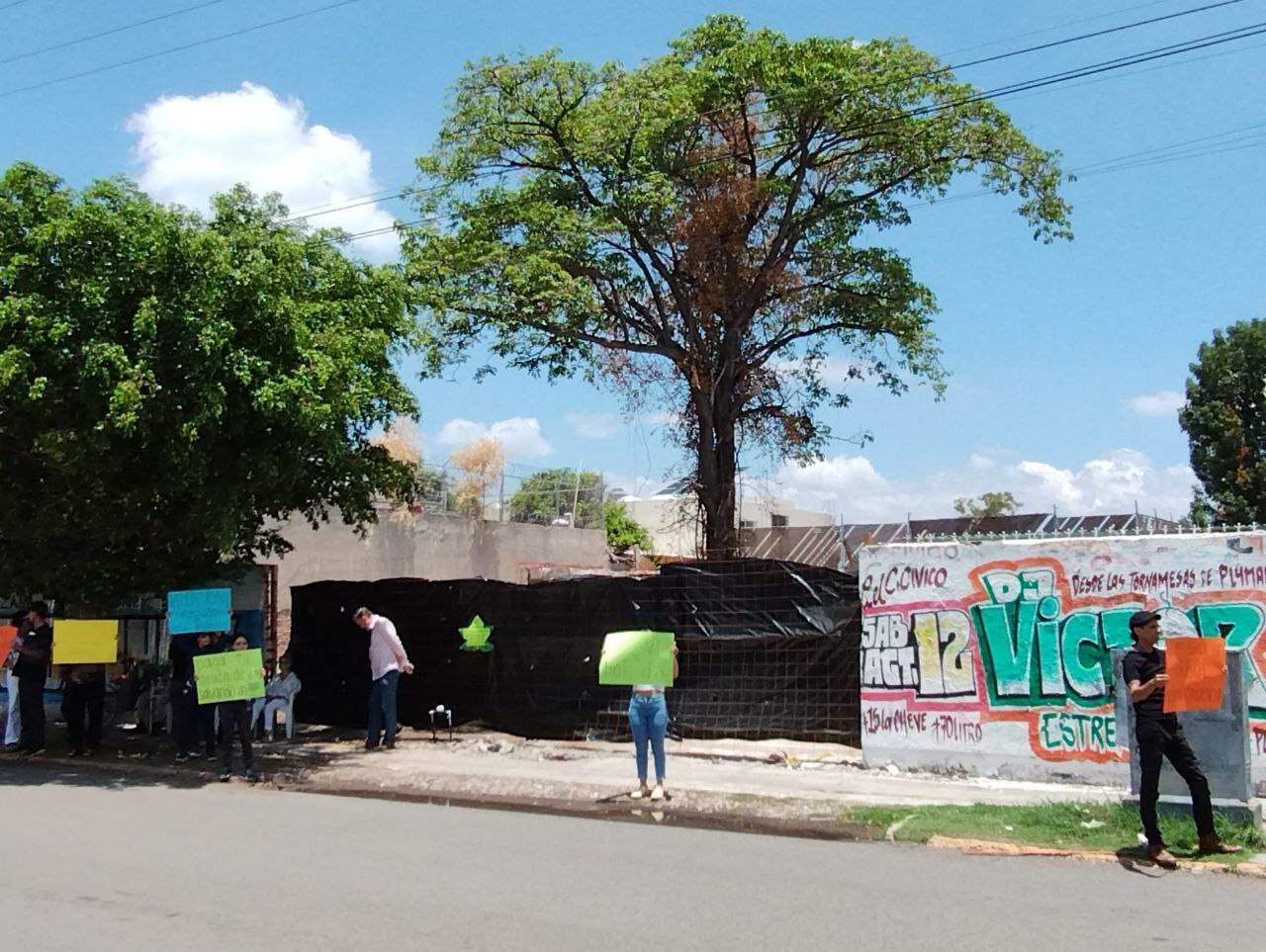 Vecinos salvan árbol Palo Rosa en Salamanca de ser talado en proyecto de construcción