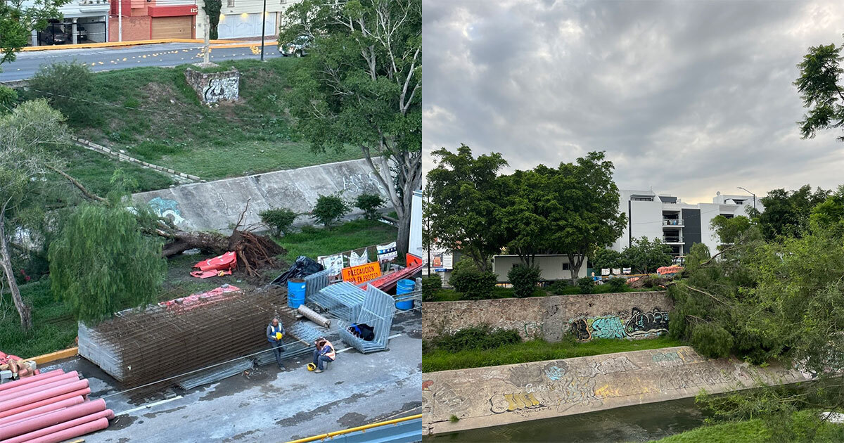 Denuncian más árboles caídos en Malecón del Río de León: 'dirán que fueron las lluvias', critican 