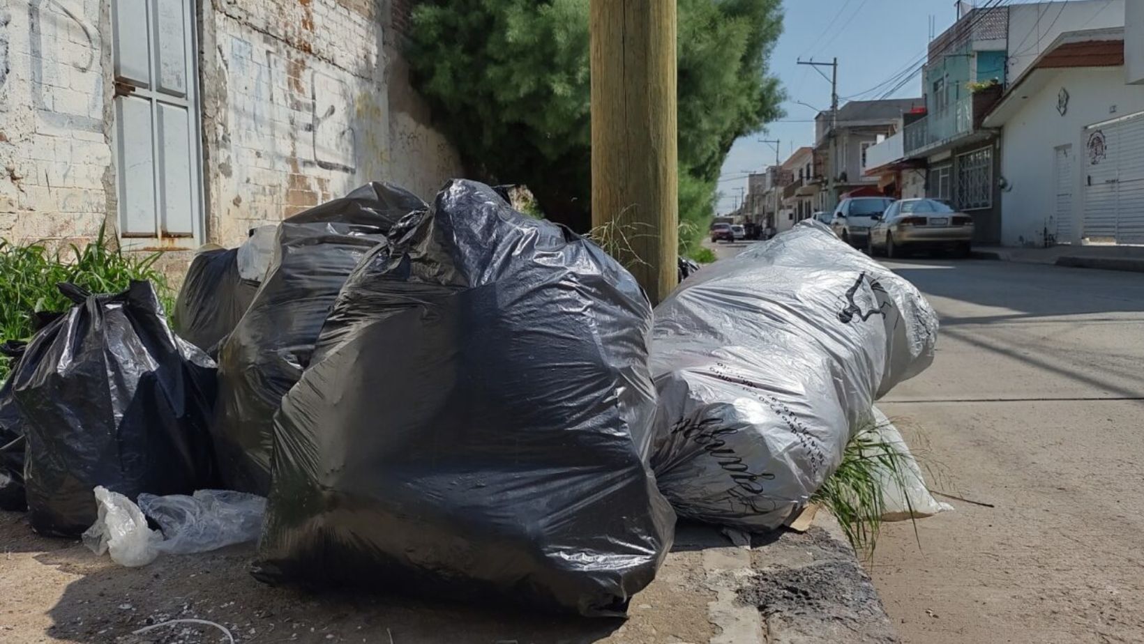 Basura amenaza con ahogar calles de Silao mientras se espera veredicto del TJA