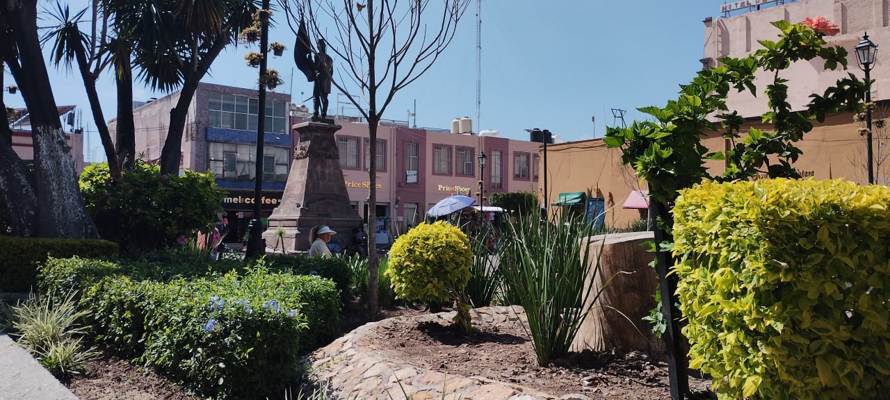 En menos de un año se secan cuatro magnolias plantadas en Jardín de San Agustín, en Celaya