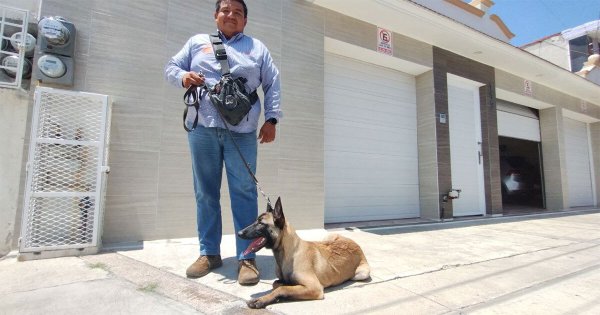 De policía a ‘César Milán’ salmantino: Juan Franciso adiestra a perritos para evitar su abandono