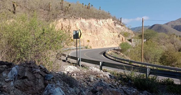 Abandonan a indefensos cachorritos en esta carretera de Guanajuato… y es casi diario 