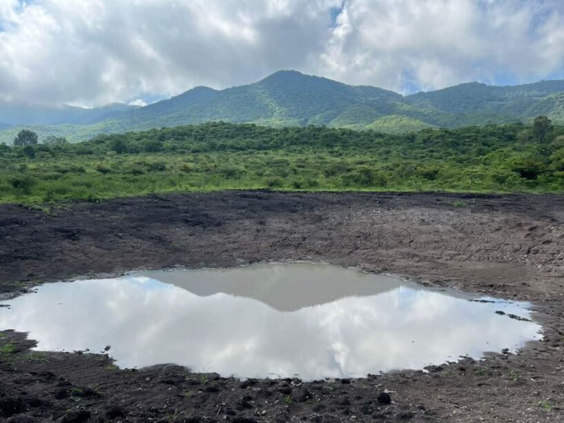 “Si ha llovido, pero no lo suficiente”: carecen de agua en Sierra de Pénjamo; preocupa sector ganadero