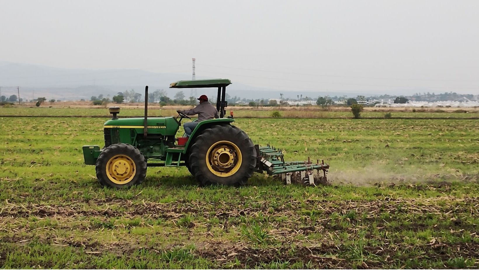 Campesinos en Irapuato cambian maíz por garbanzo para solventar pérdidas