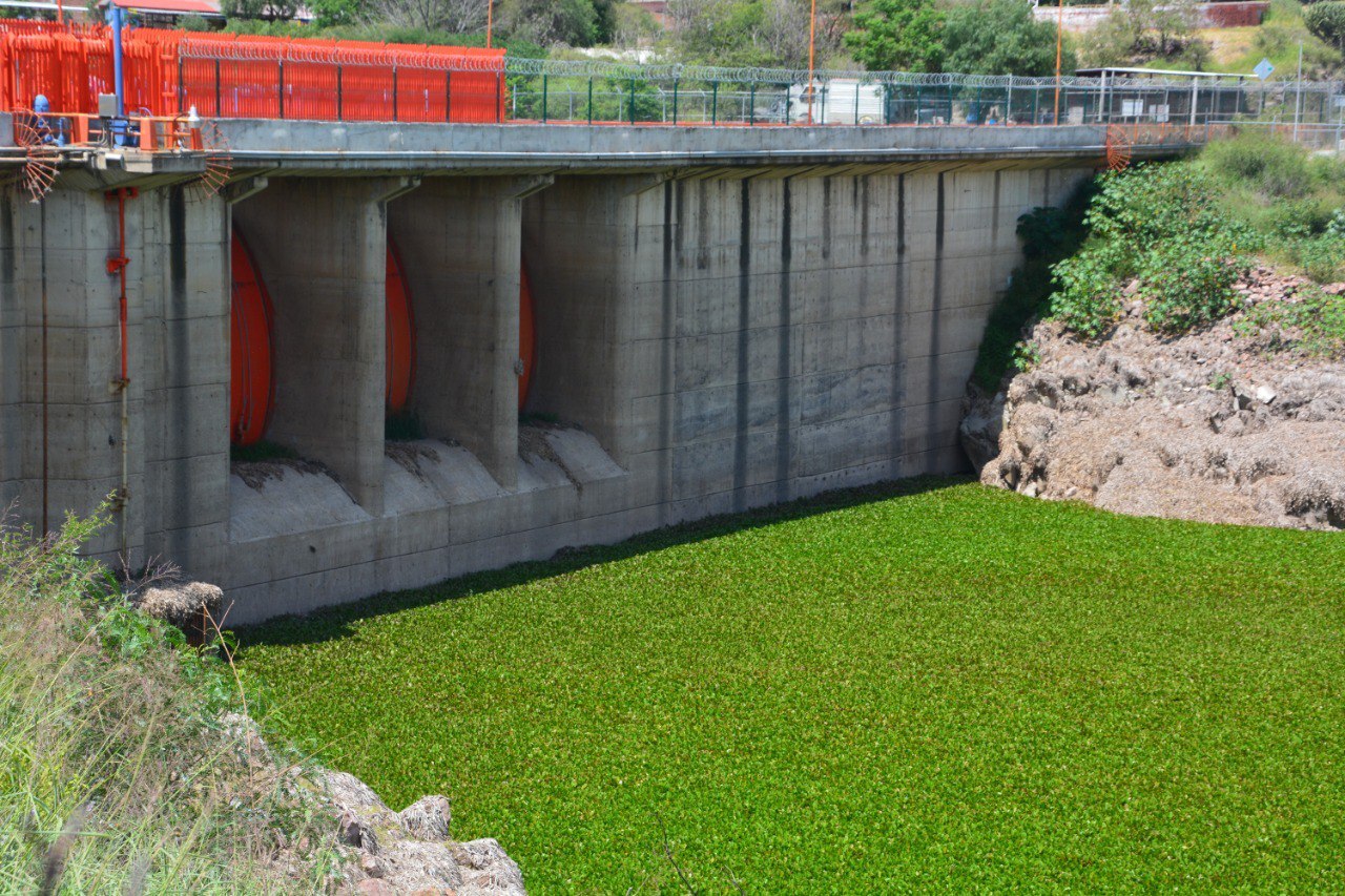 Hasta 7 municipios sufren desabasto de agua, pero San Miguel de Allende lo sufre más 