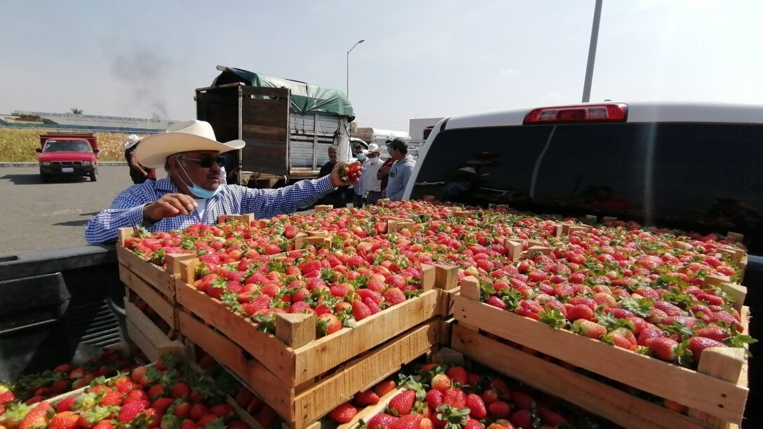 Mercado de la Fresa necesita 10 millones para ser funcional, ¿es poco?