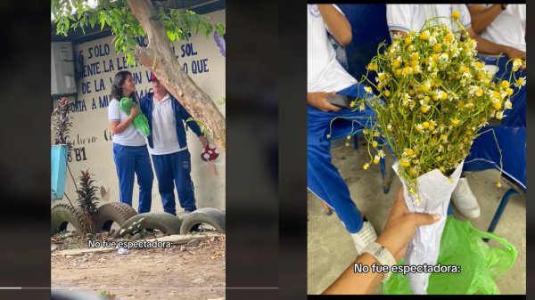 Le da flores de manzanilla a su novia por el día de flores amarillas (Video)