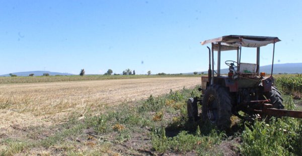 Crisis en el campo de Guanajuato: exigencias suben de nivel y agricultores no ven respuesta