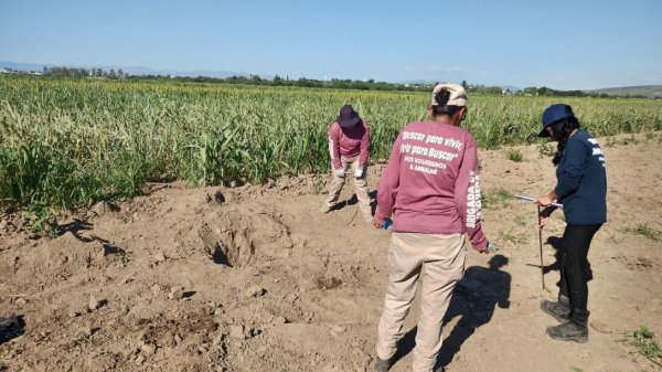 Entre carencias e inseguridad, colectivos realizan labores de búsqueda en todo el estado de Guanajuato  