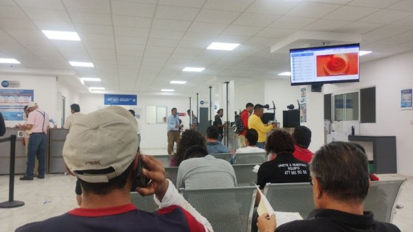 ¿Cuánto tarda tramitar la licencia de conducir en León? Mejor fórmate temprano