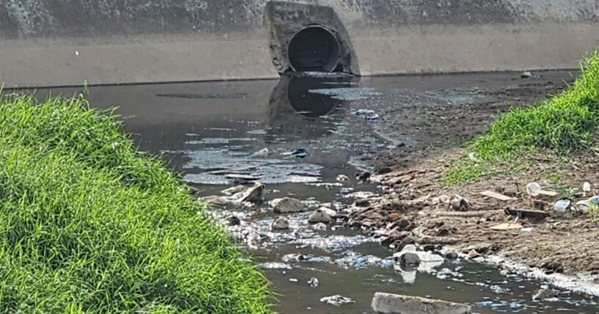 Esta zona de Pénjamo tiene 50 años viviendo entre aguas negras 