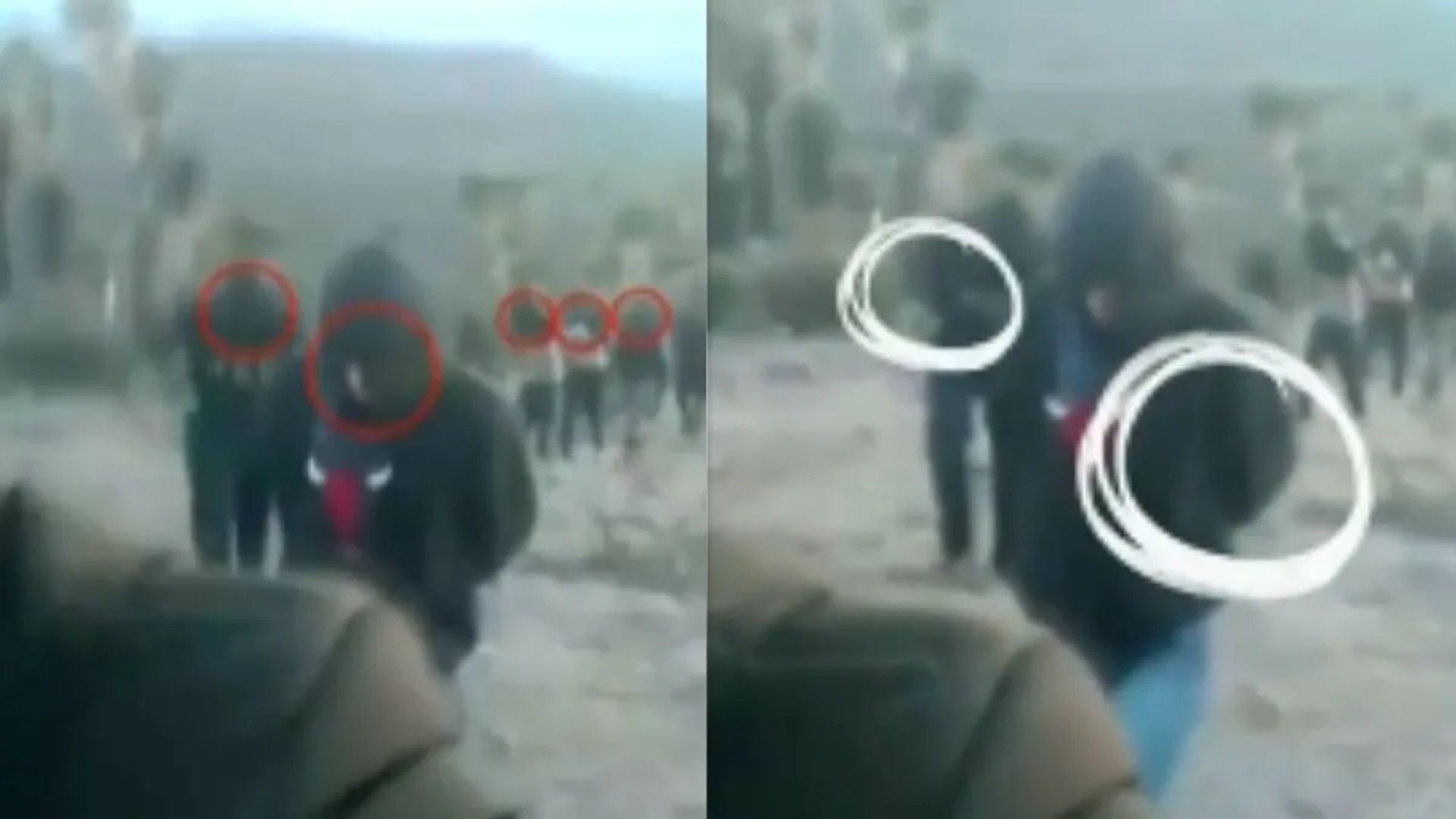 Filtran video de los 7 jóvenes desaparecidos en Zacatecas antes de su muerte