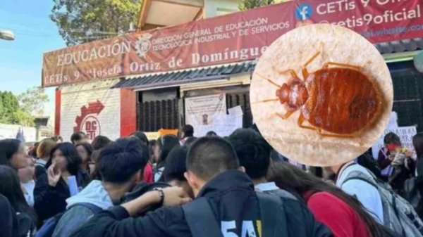 Posible plaga de chinches en CDMX: el Metro, UNAM, UACM y CETIS toman medidas