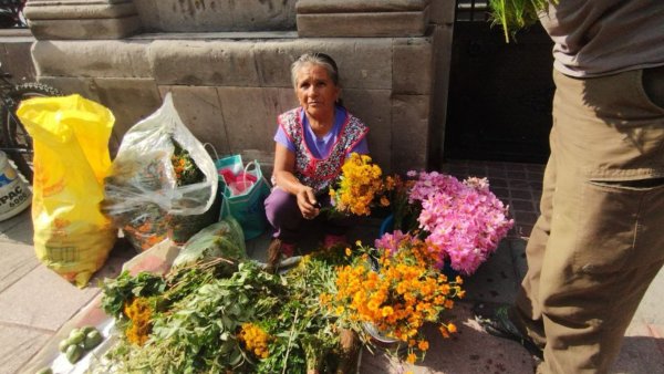 Para la tos, el dolor y “el aire”, Doña Juana de Salamanca tiene remedio para todos con su hierbitas