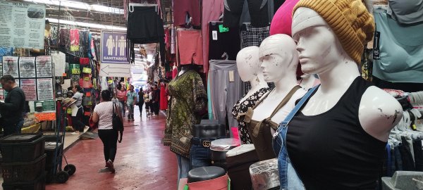 ¡Con estilo! Llega desfile de modas al Mercado Morelos de Celaya y así fueron algunos de los trajes 