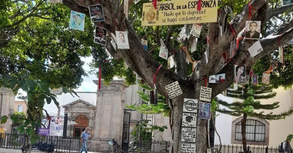 Colectivo acusa destrucción de ‘El Árbol de la Esperanza’ en Salamanca que rinde homenaje a los desaparecidos