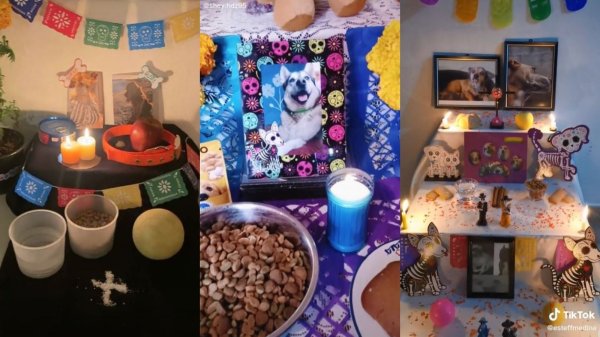 Día de Muertos: ¿Cuándo llegan las almas de las mascotas y qué poner en el altar de muertos?