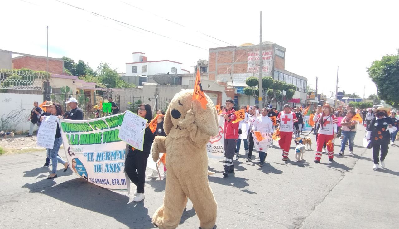 Lomitos y sus dueños salen a las calles de Salamanca para exigir un alto al maltrato animal 