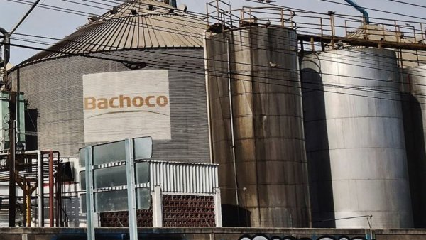 Bachoco entre las empresas señaladas que causan malos olores en Celaya