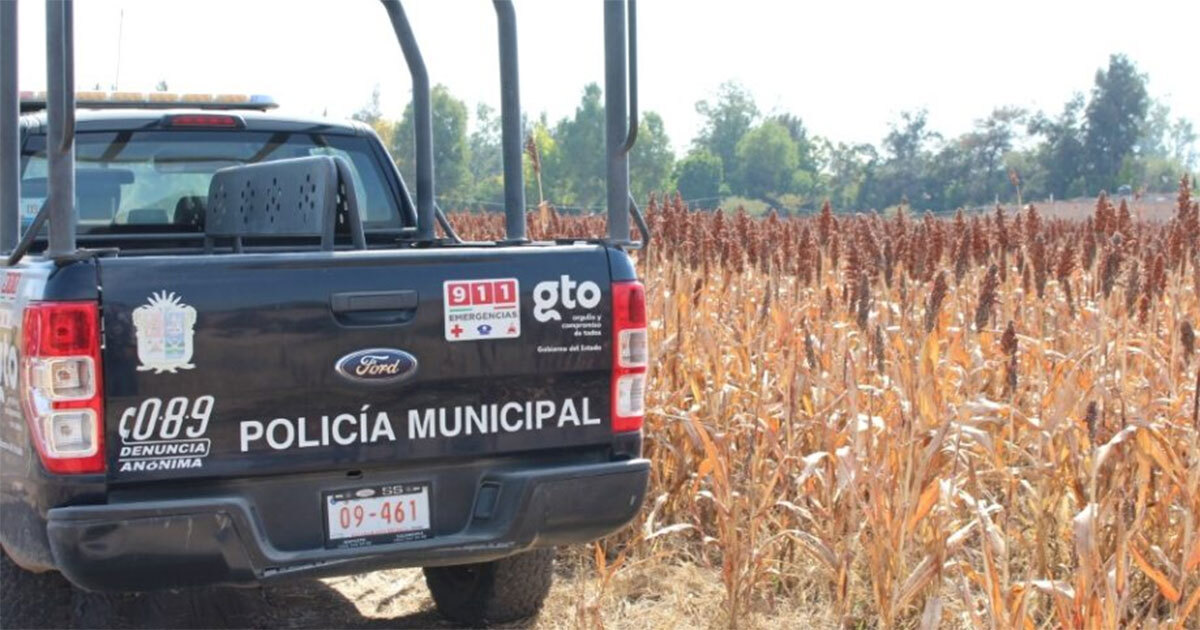 Aumentan víctimas de fosas clandestinas en Irapuato: estas son las colonias donde más se encontraron 