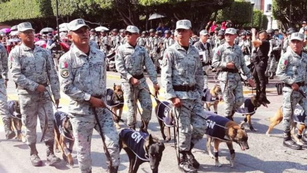 Guanajuato fortalece la seguridad con más de mil elementos de la Guardia Nacional