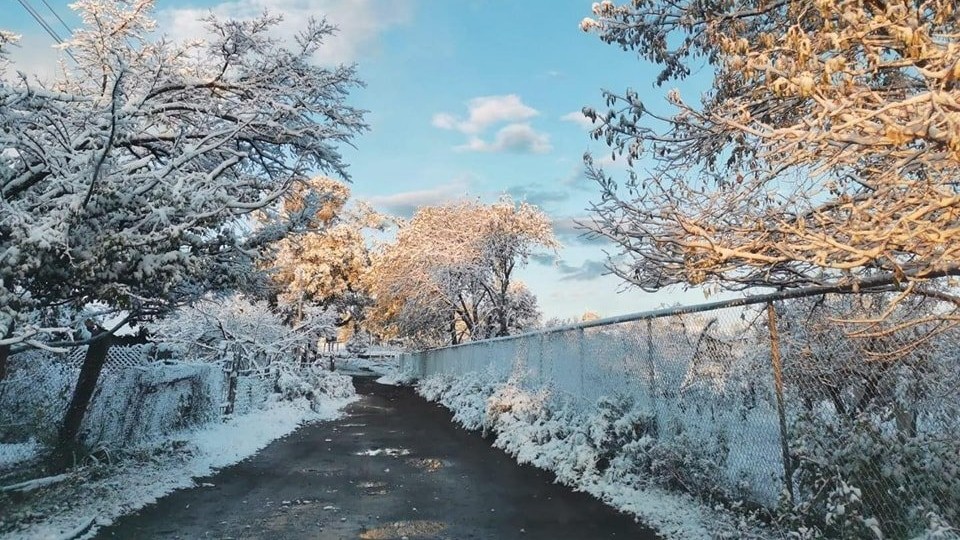 Primera nevada en México deja increíbles paisajes en Zacatecas, valle de México... | Fotos