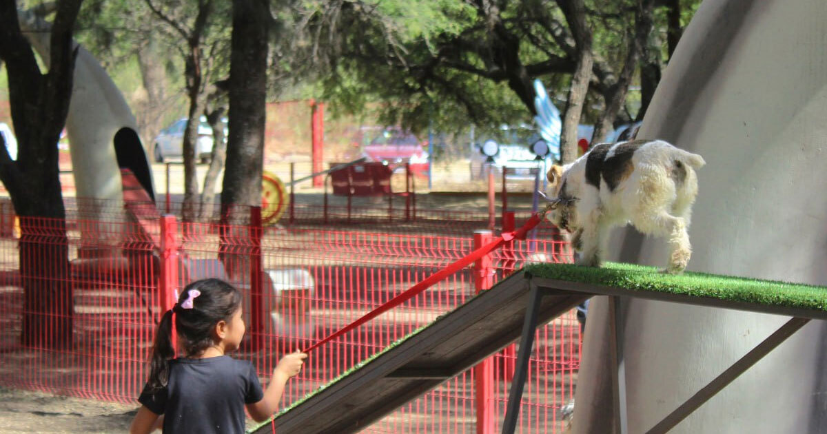 ¿Hotel para mascotas en León? Buscan hacerlo posible en el Perro Parque del Zoológico