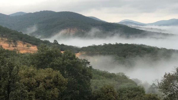 ¿Hará frío en Guanajuato? Frente Frío 14 traerá heladas y agua nieve en estas zonas