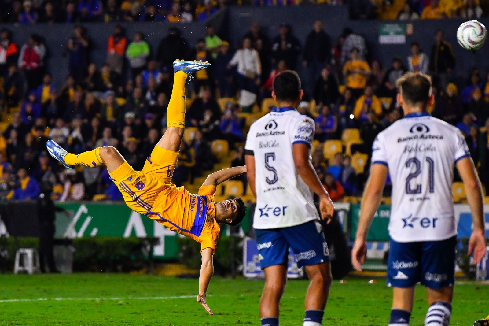 Semifinal Liga MX: ¿a qué hora y dónde ver Tigres vs Pumas?