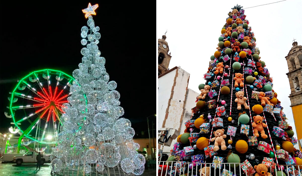 ¿Cuál es el mejor? Estos son los árboles de Navidad más bonitos de Guanajuato 