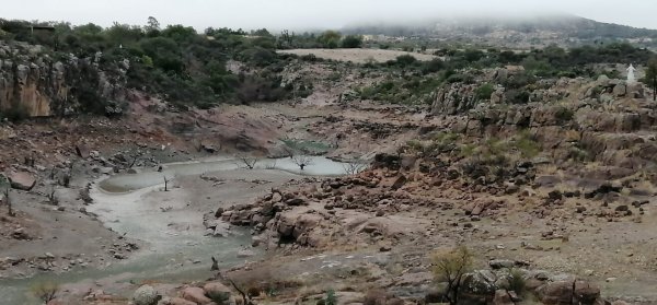 Lluvia es insuficiente para frenar sequía en zona norte de Guanajuato 