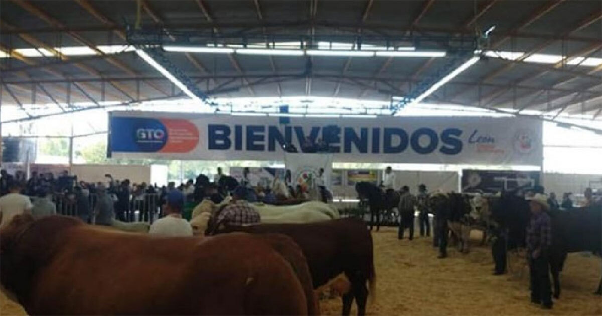 ¿Habrá Expo Ganadera en la Feria de León 2024? Así será la edición de este año 