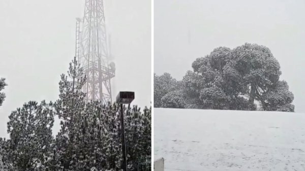 Video| Así se ven los estados de México en donde ya cayó nieve 