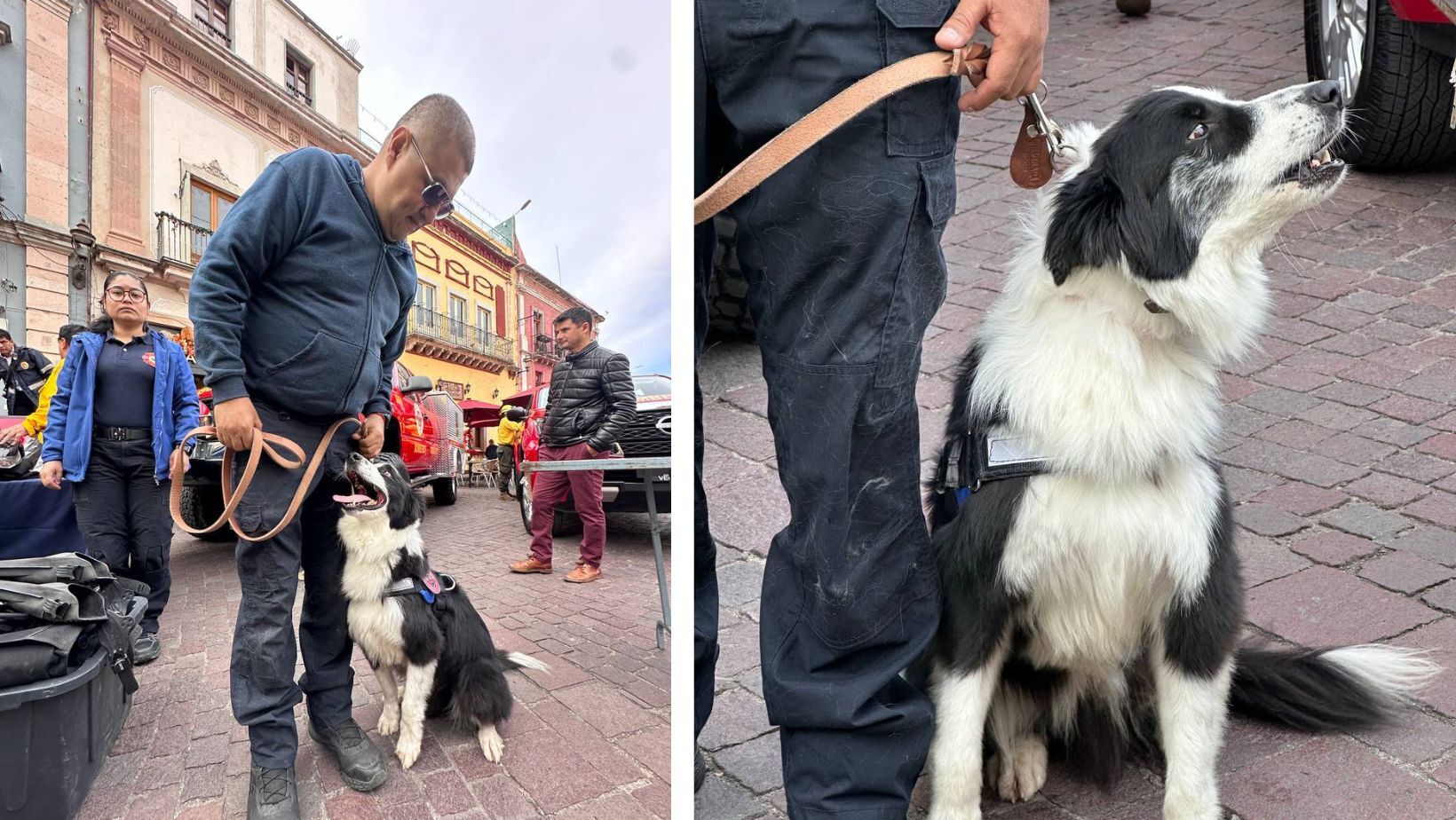 Binomio canino de los Bomberos de Guanajuato enorgullece por su labor voluntaria