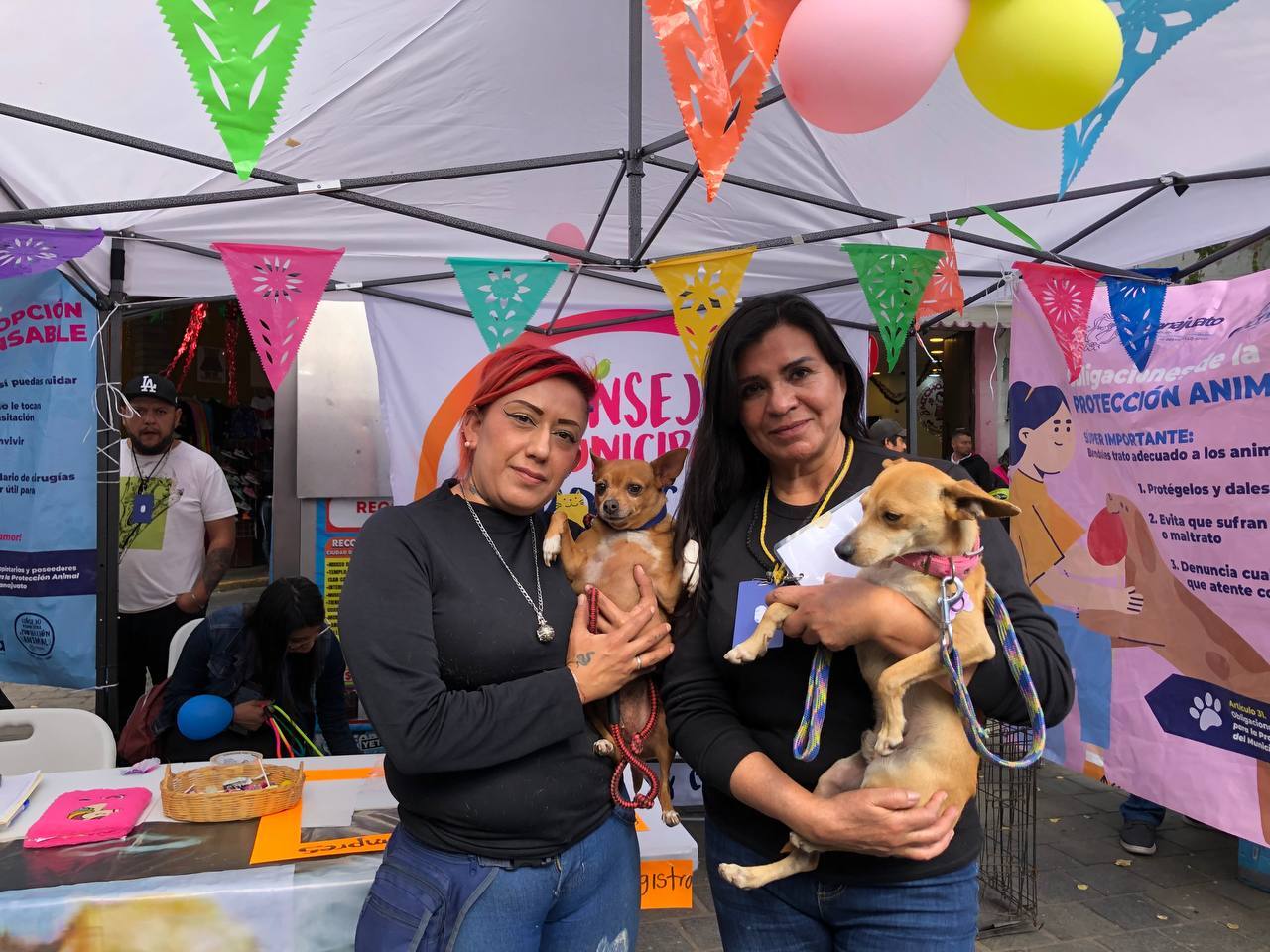 Primer Adoptón del Grupo Guindis busca fomentar cuidado responsable de mascotas en Guanajuato