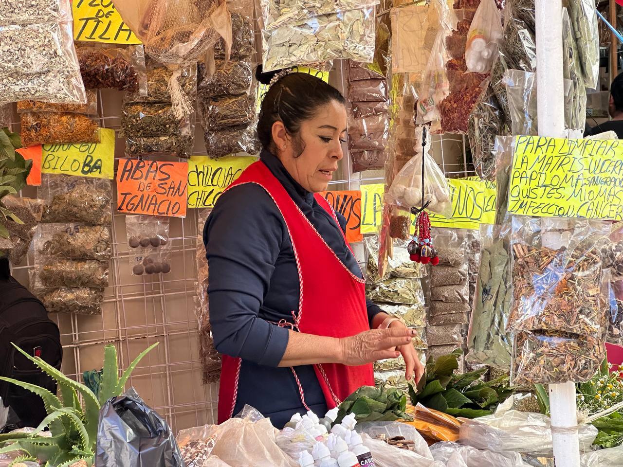 Gloria 'La Güera' preserva la herencia y sabiduría de las plantas medicinales en Guanajuato 