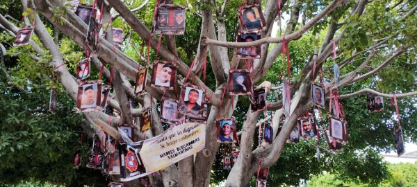 Renacen 'Árboles de la Esperanza': Colectivo recuerda familiares desparecidos en Salamanca