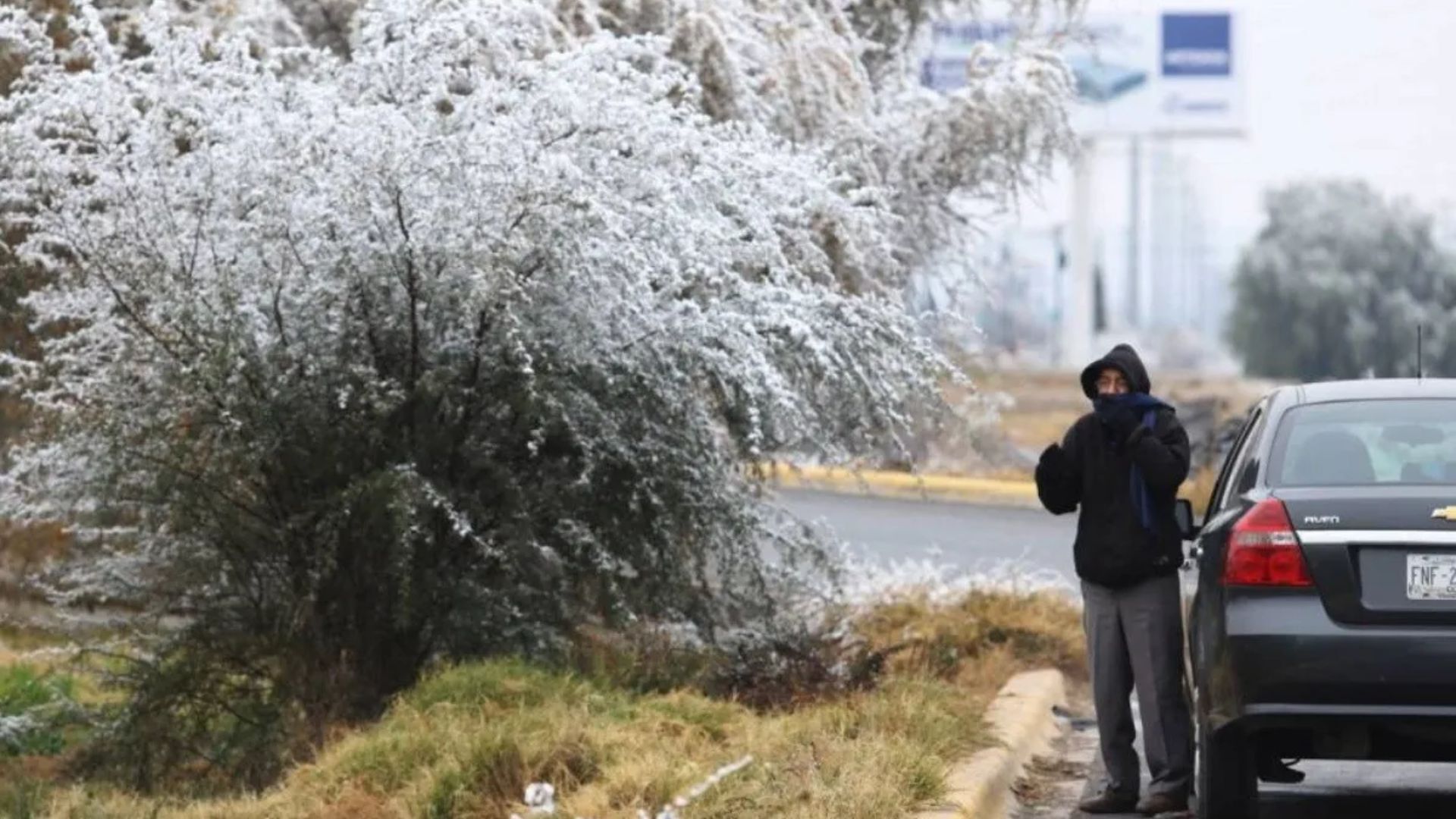 SMN alerta sobre fuertes lluvias y caída de aguanieve o nieve en estos estados