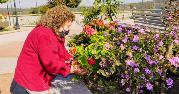 Doña ‘Telita’ cuida con amor y dedicación el jardín de la comunidad Rancho el Cerro en Uriangato 