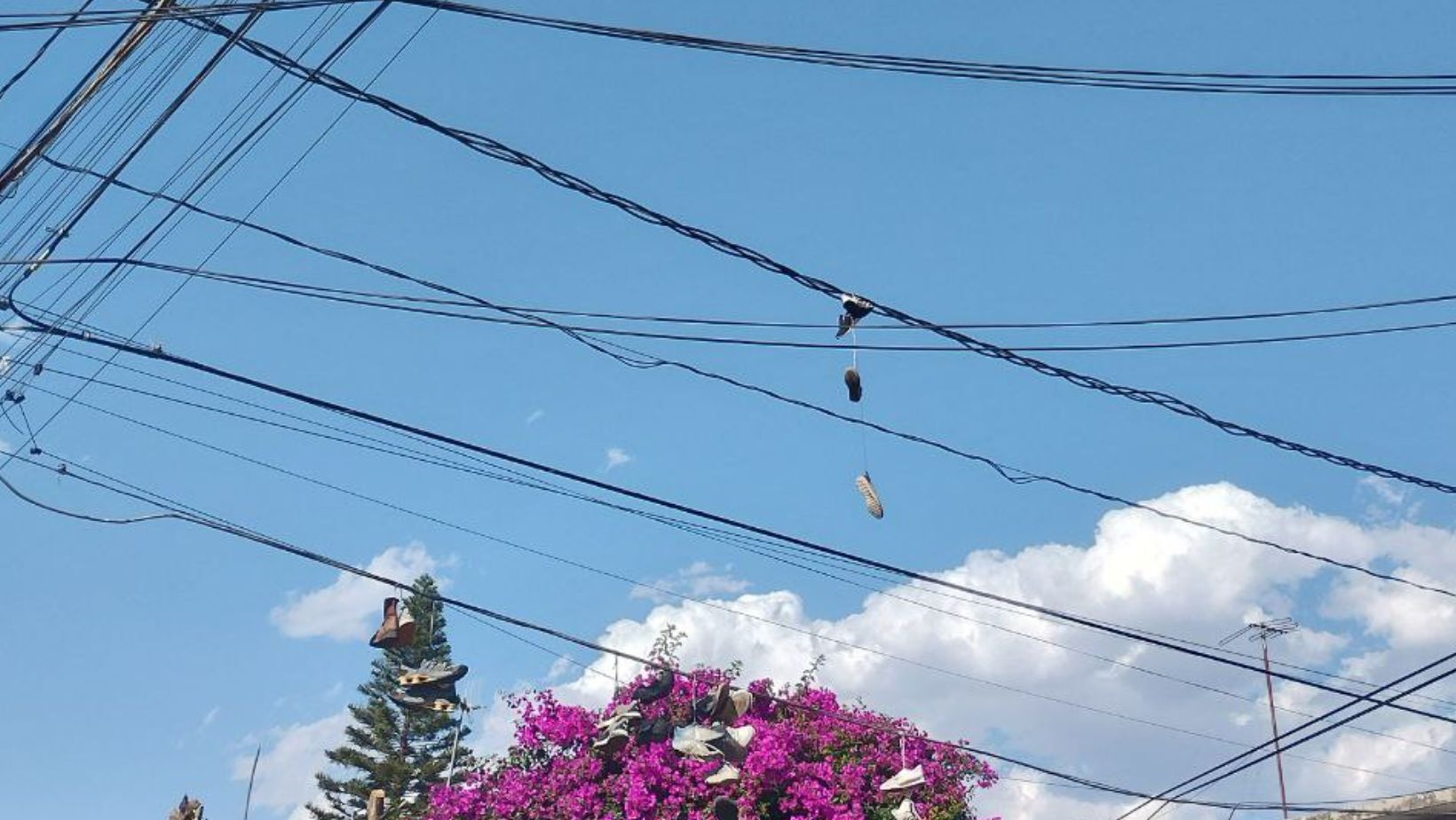 León propondrá iniciativa para retirar exceso de cables de la ciudad