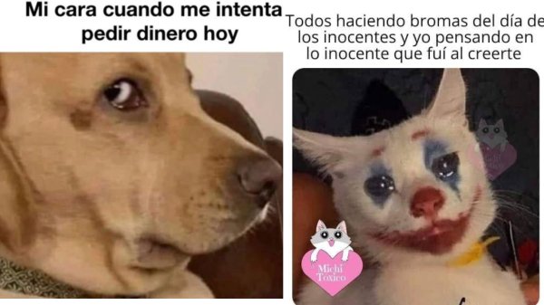 Estos son los mejores memes que trajo 'El día de los Santos Inocentes'