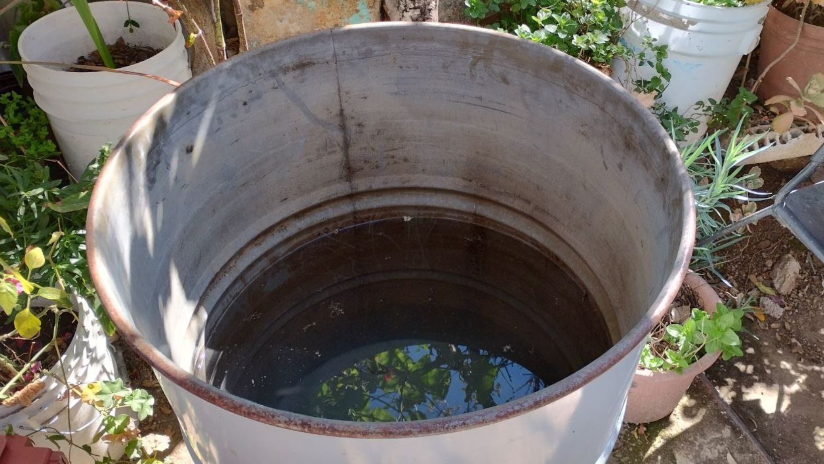 Escasez de agua y sequía en Mesa de Ibarra, León: familias pagan el salario de un mes por agua