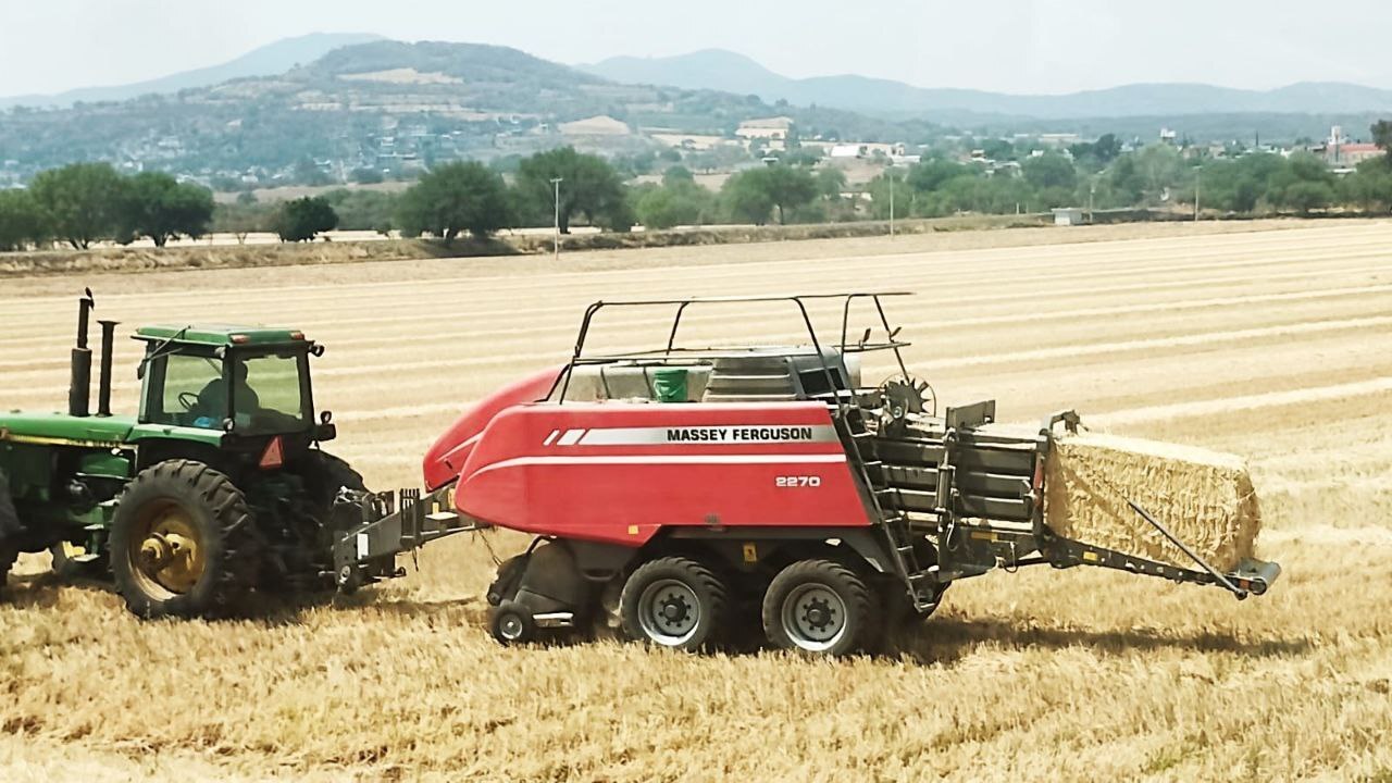 “Bronca” política pone en riesgo seguridad alimentaria en Guanajuato: líder productor