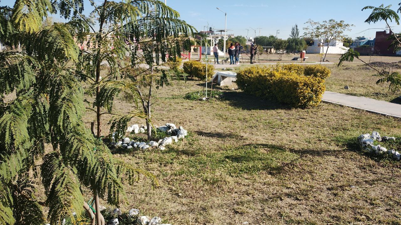 Vecinos defienden áreas verdes en Fraccionamiento Las Estancias de Salamanca por ser “pulmón natural”