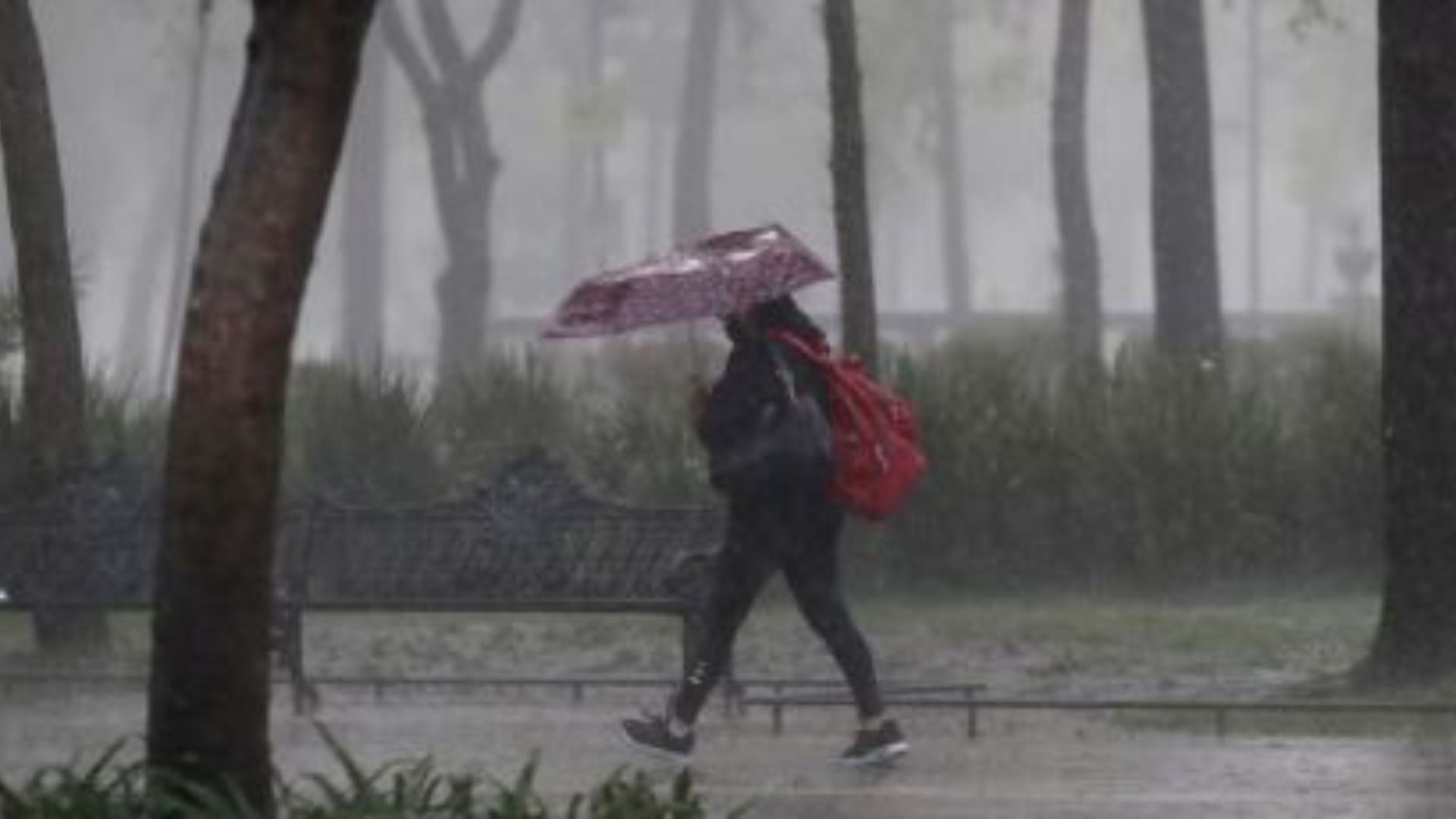 ¡Vuelve la lluvia! Frente frío 27 traerá precipitaciones muy fuertes a estos estados