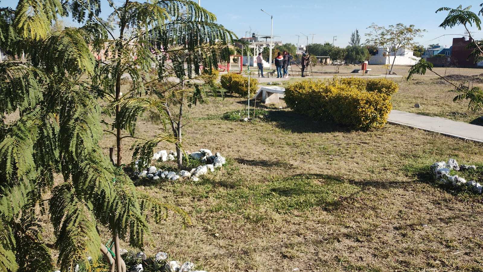 César Prieto Gallardo niega afectación a áreas verdes por proyecto comunitario en Las Estancias de Salamanca