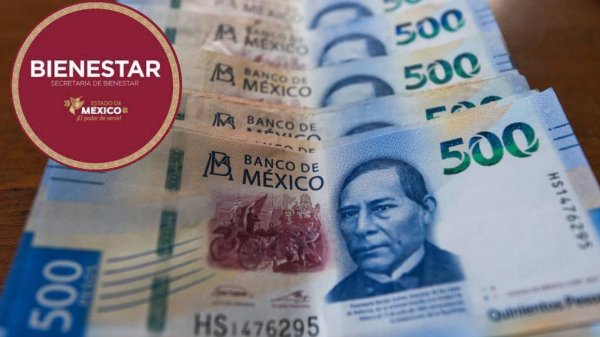 Apoyos del Bienestar en México: conoce las opciones y regístrate 