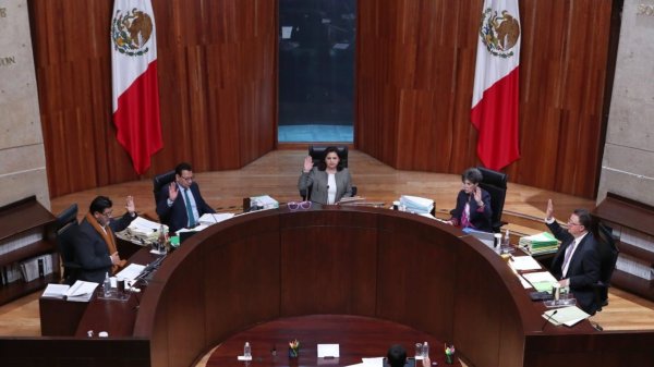 Tribunal Electoral determina caso Denisse Dresser por denuncia de Andrea Chávez y revoca denuncia