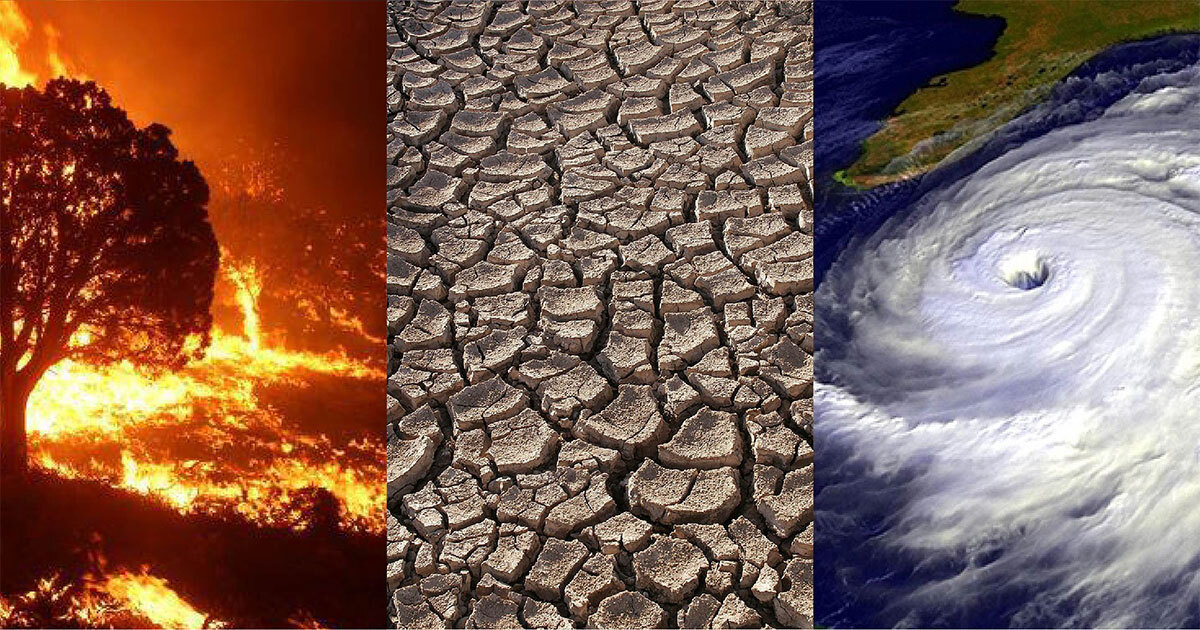 Cambio Climático: Tierra supera temperatura de 1.5° C por 12 Meses seguidos y alerta a científicos